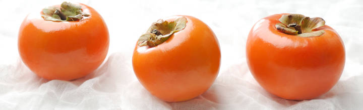 Save the Date – 2017 Persimmon Industry Conference & Field Day Save the Date – 2017 Persimmon Industry Conference & Field Day